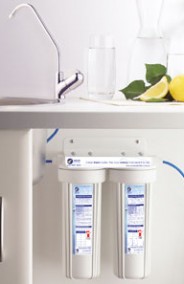 Dual Filter System