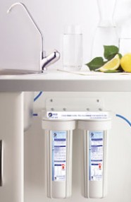 Dual Undersink Filter System