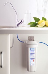 Single Filter System